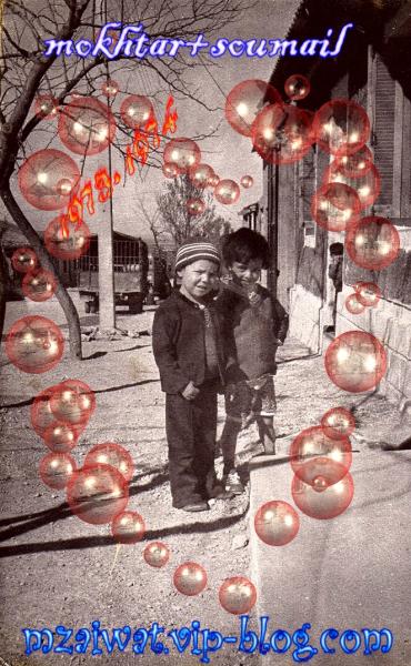 ����� +������ �����